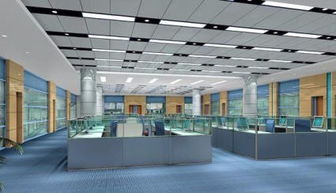 貼心設(shè)計服務(wù)，客戶滿意效果——郎世寧裝飾上海激光管項目